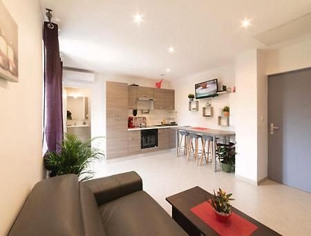 Appartement Oasis Proche De Lyon Groupama Lcdl Meyzieu Kültér fotó